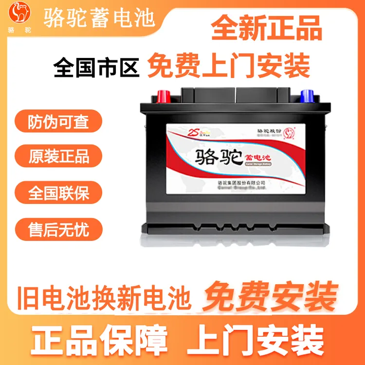 骆驼2S蓄电池T6适配福特致胜福睿斯福克斯吉利等 12V60AH汽车电瓶