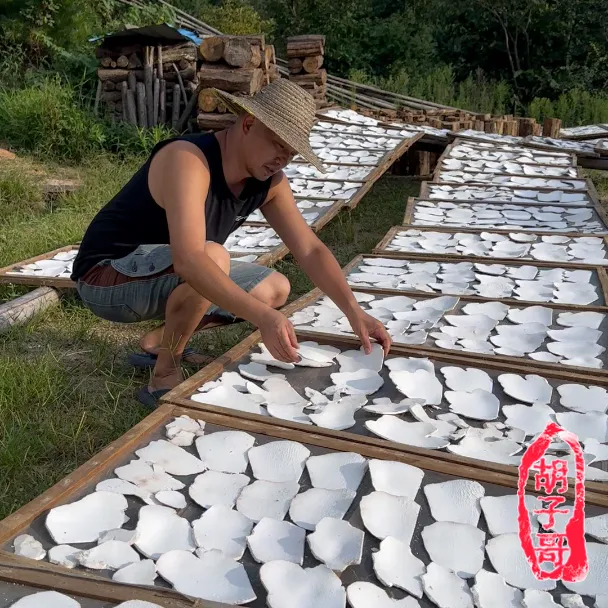 岳西胡子哥茯苓片产地直销正宗生切生晒无硫大别山正品生切茯苓片