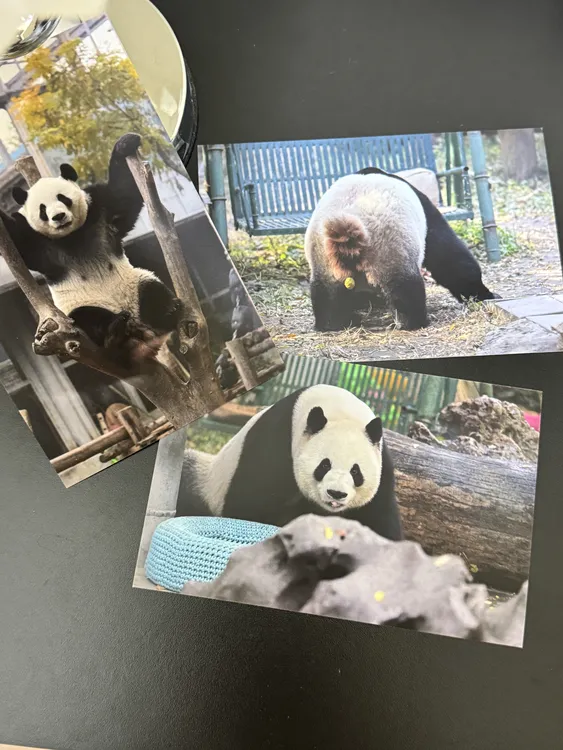 【萌兰】2025名场面明信片（一套10张）