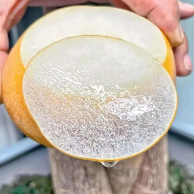 勇哥家秋月梨，酥香脆甜，细腻无渣，口口爆汁，现摘现发【顺丰包邮】