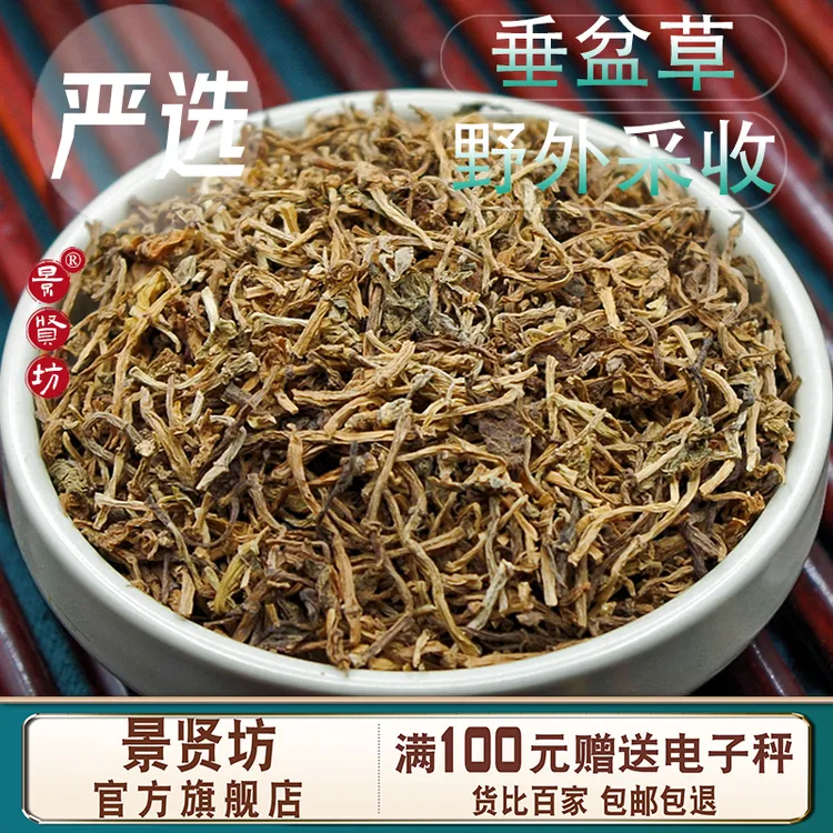  垂盆草中药材250克/500g克 垂盆草泡水茶干货 正品官方旗舰店