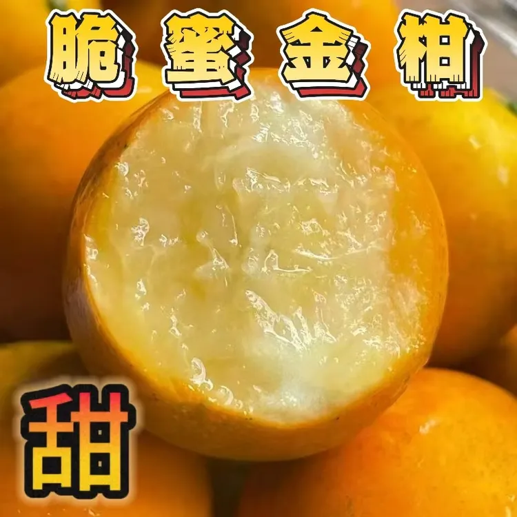 云南脆蜜金柑新鲜水果甜脆入口无渣纯甜正宗多汁