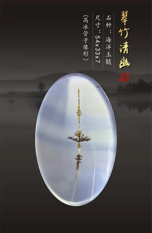 海洋玉髓-翠竹清幽-吊坠(高冰种)尺寸:54x33x7mm