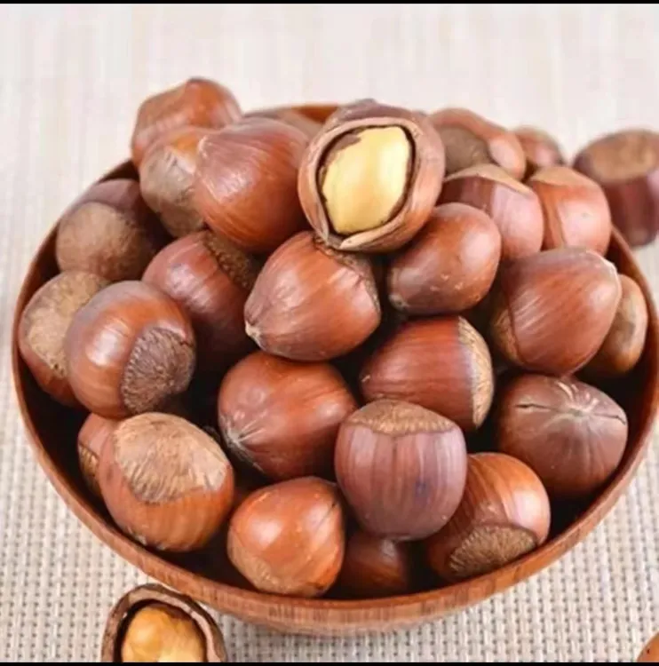 东北长毛榛子开口5斤