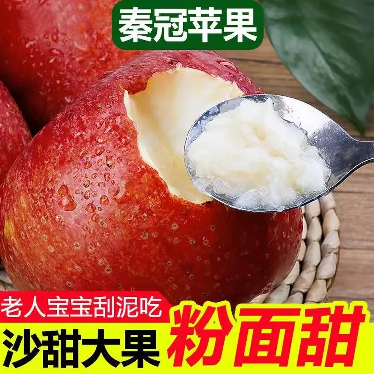 陕西高原秦冠苹果粉面苹果老人宝宝辅食新鲜水果沙甜老树苹果包邮