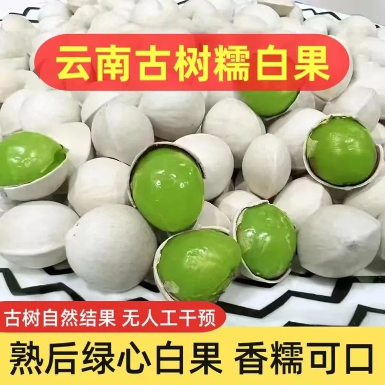 云南土特产老树白果