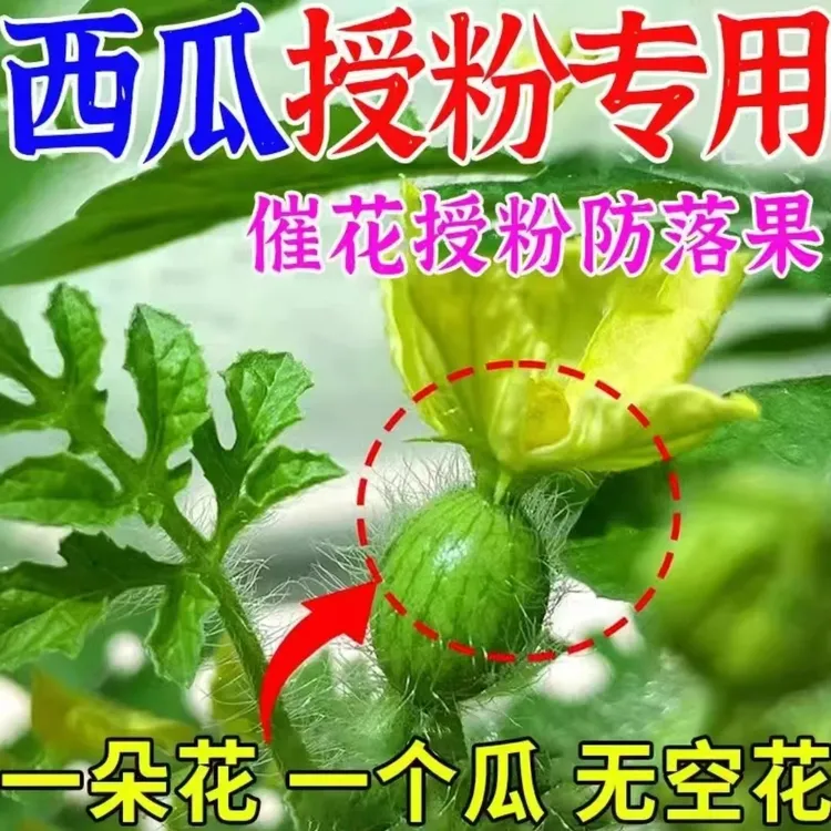 西瓜专用座果灵授粉神器防裂防畸膨大免沾花阴天不影响座果