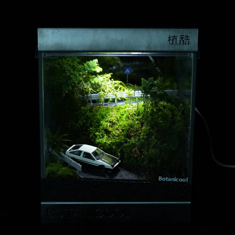 20.20.20cm头文字D 苔藓微景观生态观