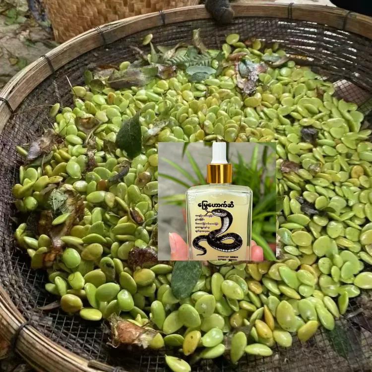 （金瑞）云南中缅边境正品～舌～由