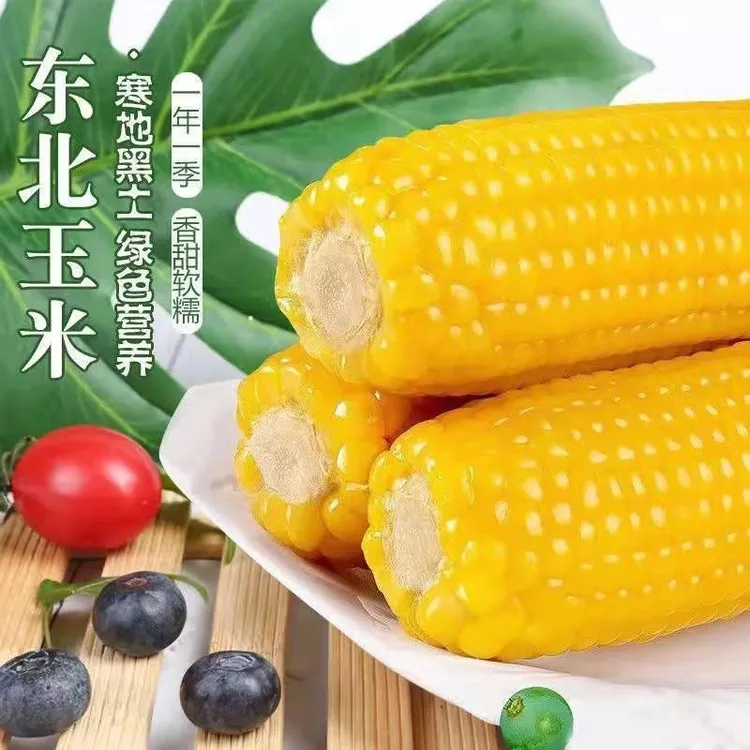 【东北黄糯玉米绿色食品八大棒可试吃两支】铝箔真空包装