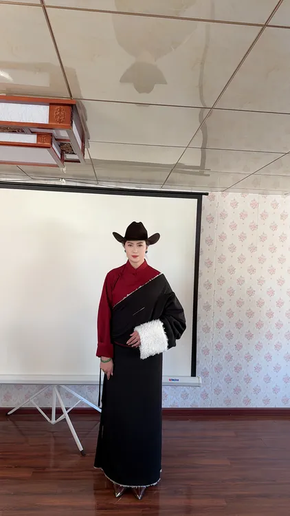 藏袍服装礼服复古长袖设计师中国风外套立领长款上衣