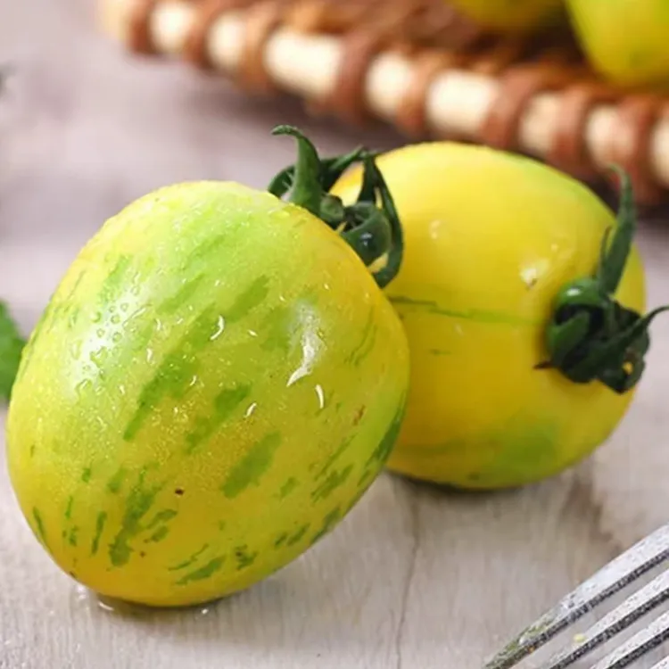 东北虎皮黄柿子（新鲜采摘）