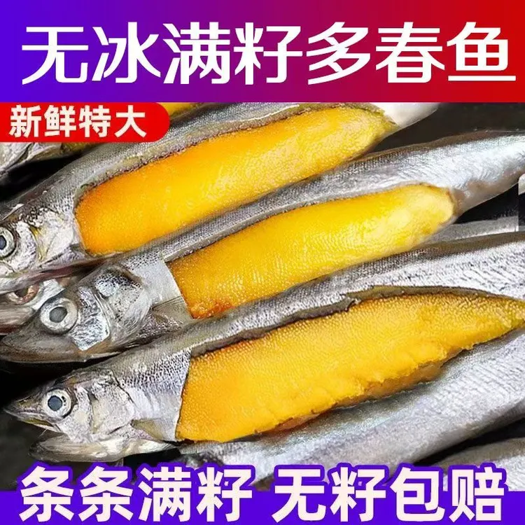 【小二与海】大大号新鲜满籽多春鱼海捕冰鲜多籽鱼香煎净重300g顺丰