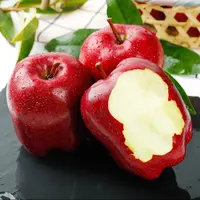 甘肃天水花牛苹果新鲜应季沙甜糯鲜红蛇果水果新鲜果园采摘红苹果