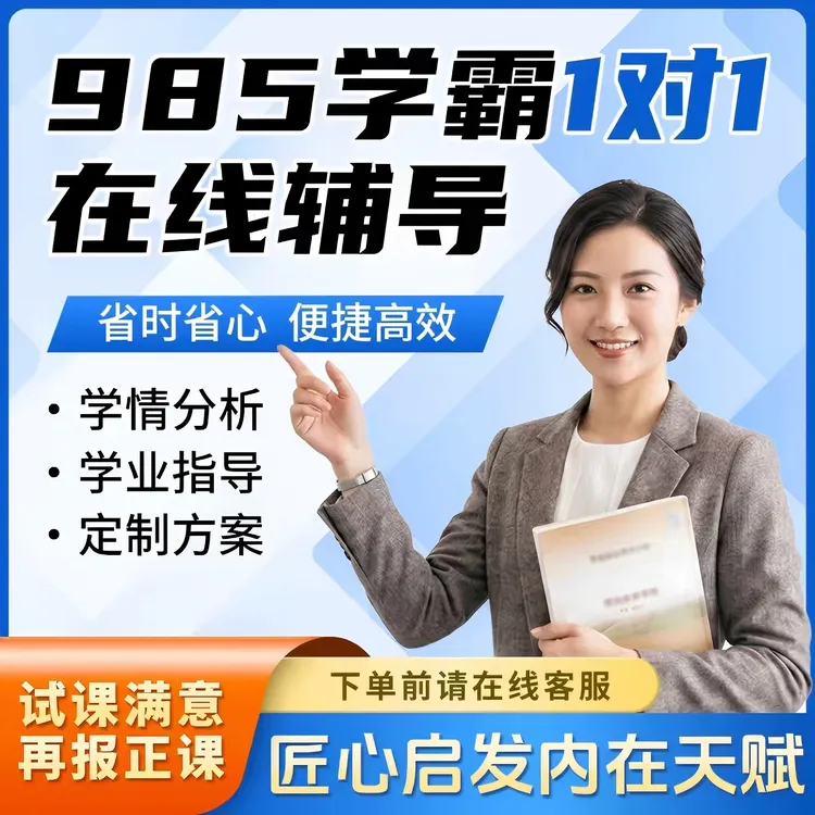 线上一对一网课全科在线指导网上辅导专业学业规划课程规划提升商品图