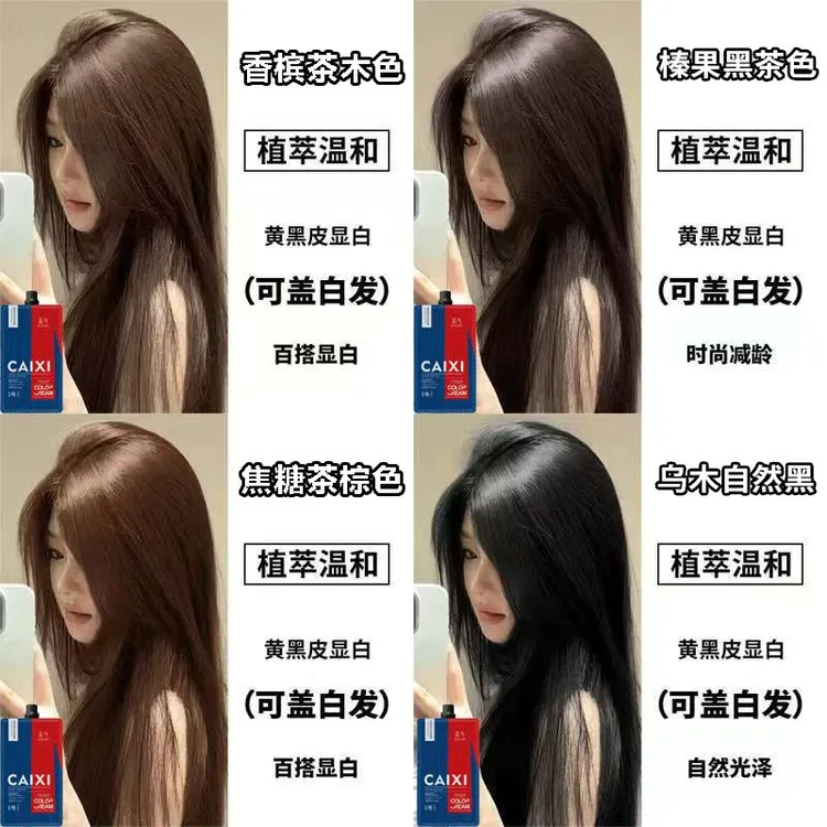 【潮色 大容量】植萃染发膏 安心染发 流行色 免漂在家染发zldh1