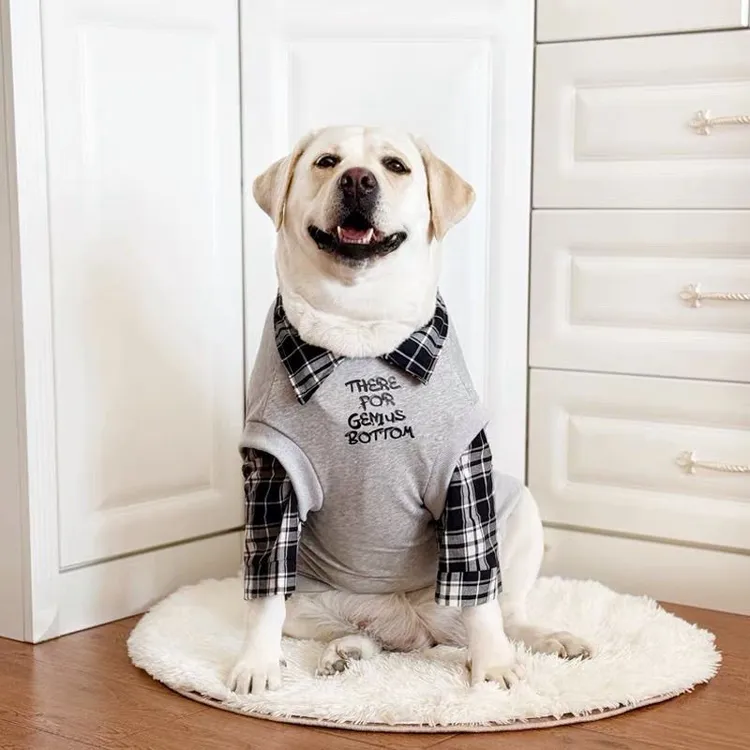学院风拉布拉多衣服潮牌中大型犬金毛杜宾秋冬保暖防掉毛狗狗衣服