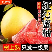 【平台推荐】正宗福建红心柚子新鲜水果当季水果红柚子福建省