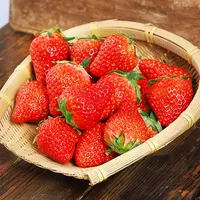 【六妈推荐】丹东草莓 新鲜采摘香甜水润多汁 1盒1.3斤起 辽宁发货