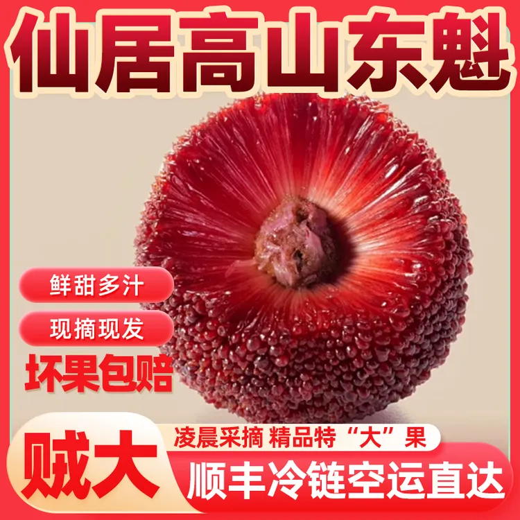 仙居正宗【高山东魁杨梅】9A大果顺丰冷链新鲜凌晨现采现摘礼盒装