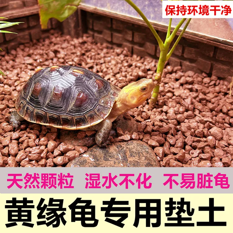 黄缘龟土安缘龟专用土陆龟水龟爬宠垫土龟缸造景垫材土天然颗粒土