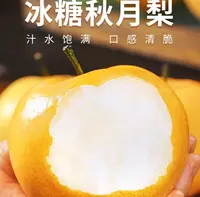 【只发新疆】1.6kg  精品秋月梨  新鲜到货 产地直采