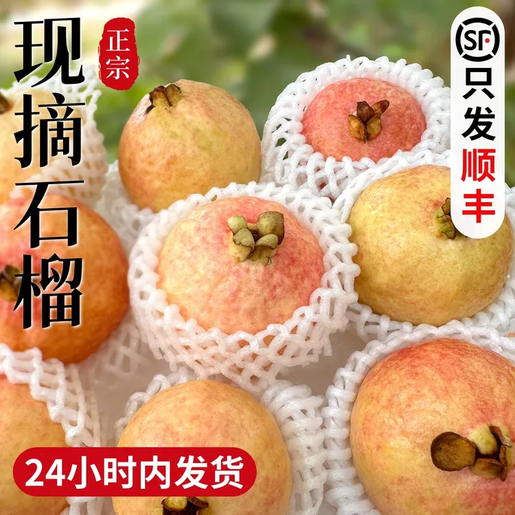 正宗增城树上熟四季胭脂红软糯香甜鸡屎果顺丰高质量水果农产芭乐