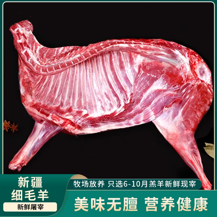 【新疆精品细毛羊】新鲜现杀现发肉质软弹可炖煮炒味道鲜美厂家直发