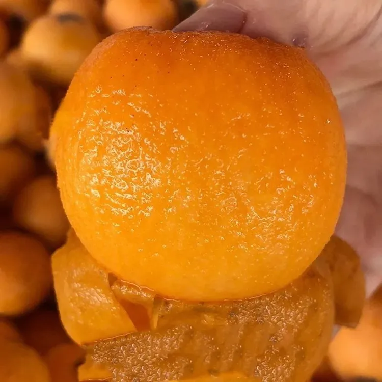 四川高山甜枇杷现摘新鲜水果甜蜜枇杷1/5斤装