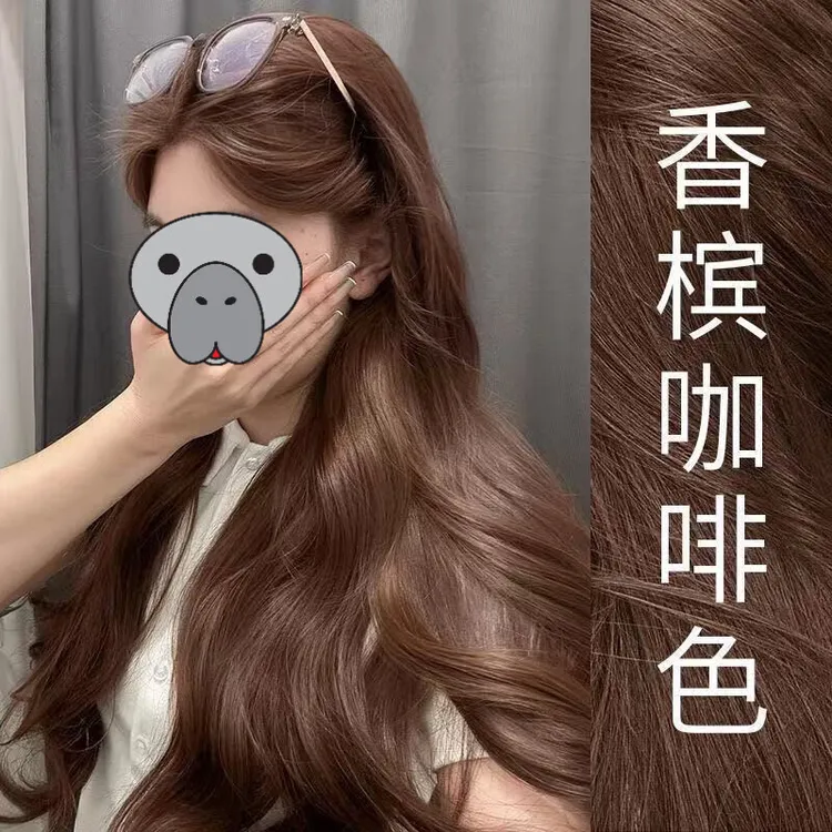 香槟咖啡色染发剂膏自己在家染显白学生免漂易上色植物不伤发男女