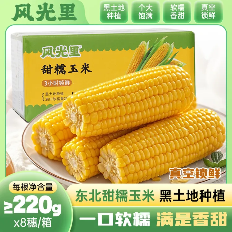 【东北甜玉米】【假一罚十】风光里东北甜糯玉米 黑土地种植