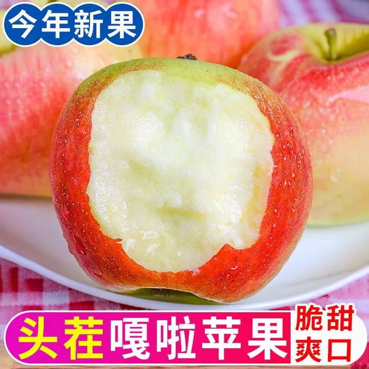【河北特产】美八苹果嘎啦苹果新鲜现摘脆甜孕妇水果头茬当季苹果