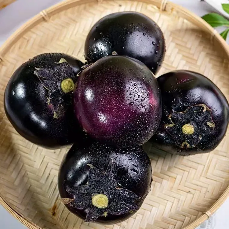 ZH农家自种新鲜圆茄子净重5斤现摘先发