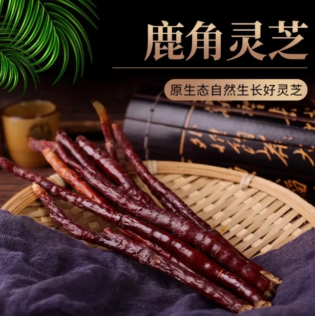 【助农推荐】鹿角灵芝 优选高山里灵芝草天然采摘仙草泡酒