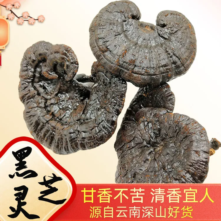 黑灵芝云南深山灵芝林下仿野生无硫熏灵芝切片煲汤泡酒料