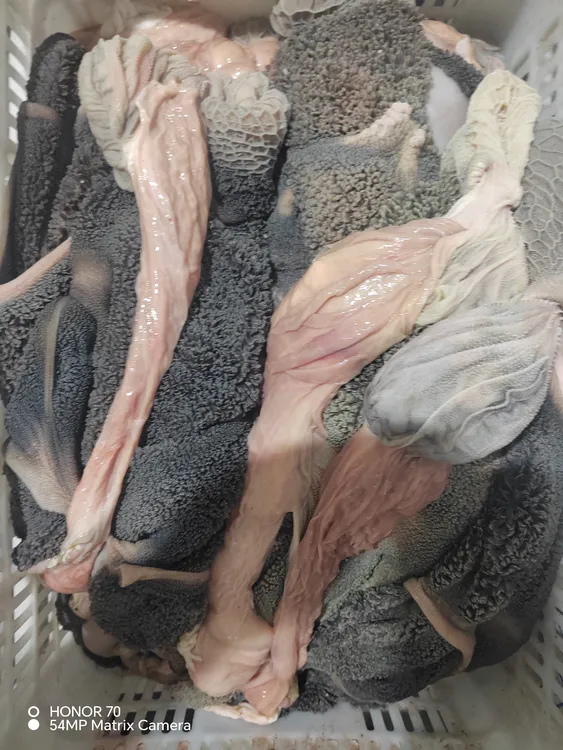 带毛羊肚里外不干净不去油不去沙肝买回家自己清洗