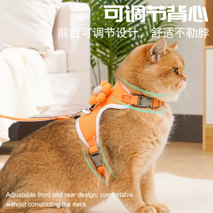 跨境新款宠物用品猫咪牵引绳背心式工字型遛猫绳防挣脱遛狗绳胸背