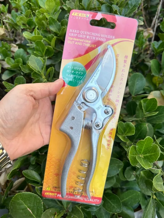 进口SK5修剪树枝剪刀果树修枝剪刀剪树枝剪刀大粗枝专用剪刀枝剪