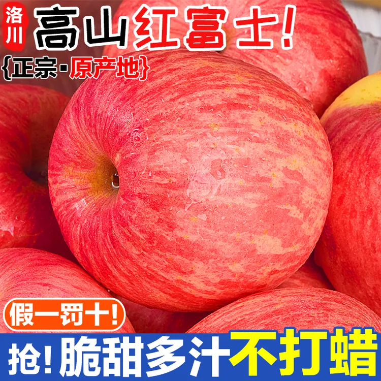 陕西洛川红富士苹果脆甜多汁皮薄爽口