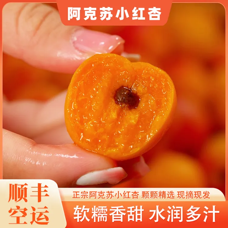 [新疆空运] 阿克苏小红杏新鲜应季水果自然熟吊干杏甜嫩多汁3斤