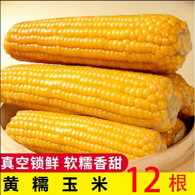 【10+2/一共发12根 】北方黄糯玉米软软糯糯 12根装/箱 可试吃2根
