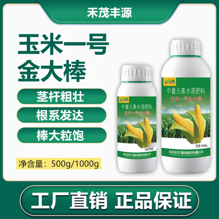 玉米一号金大棒玉米种植玉米增产增收抗倒伏籽粒饱满水枪喷雾商品图