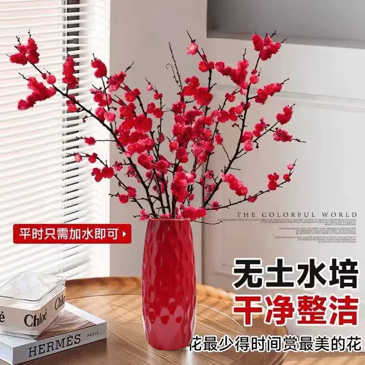 【开花爆满】北美冬青红梅鲜枝 遇水开花，室内水培植物花卉商品图
