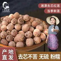 【小茵姑娘】湘潭去芯红莲子500g正宗新鲜干货煲汤煮粥绿豆莲子羹