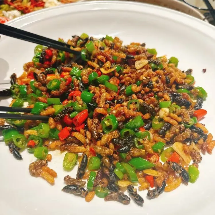 马蜂124级蜂蛹速冻蜂儿柠檬鸭油炸豹子母豹子