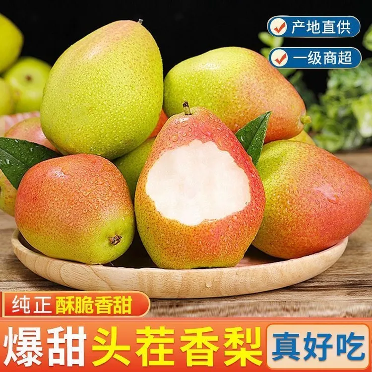 【自然生长】25年新红香酥梨水果头茬脆甜非皇冠梨低热量水果雪梨