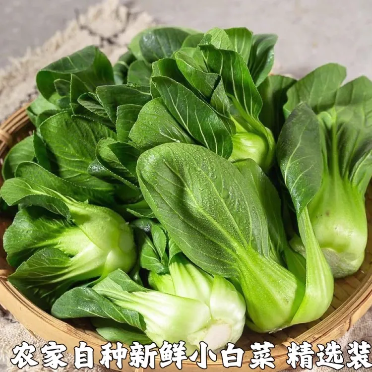 顺丰包邮农家菜园上海青新鲜蔬菜时令绿叶菜火锅青菜农家上海青