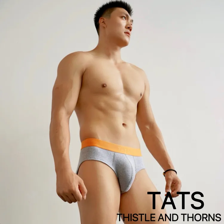 TATS(荆棘制造)埃及棉男士透气性感中低腰三角裤内裤