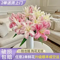 【源头优选】戴安娜重瓣百合花云南直发鲜花家居水养插花鲜切花
