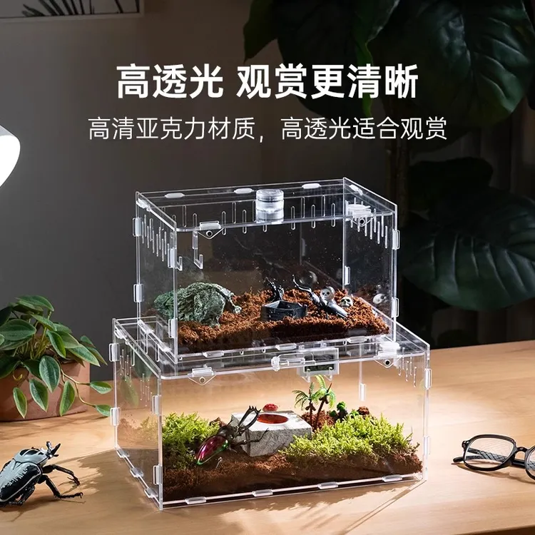 守宫独角仙幼虫套装盒子甲虫饲养盒透明亚克力爬虫饲养箱小型昆虫